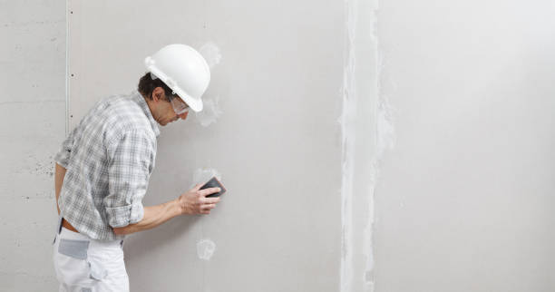 Best Drywall Texturing  in USA